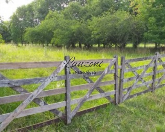 INTERESANTE CHACRA A 1200MTRS. DE LA AUTOVÍA 7, BARRIO "LA ESPERANZA" - Cód. LBR69CHA