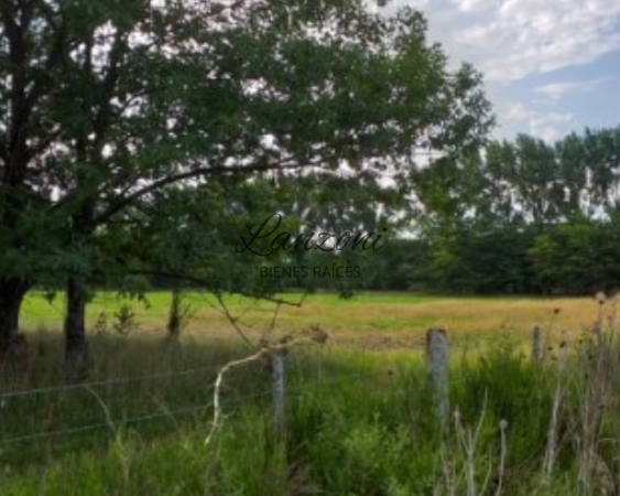 INTERESANTE CHACRA A 1200MTRS. DE LA AUTOVÍA 7, BARRIO "LA ESPERANZA" - Cód. LBR69CHA