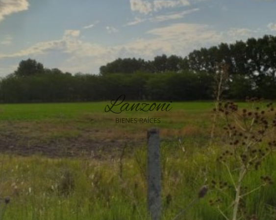 INTERESANTE CHACRA A 1200MTRS. DE LA AUTOVÍA 7, BARRIO "LA ESPERANZA" - Cód. LBR69CHA