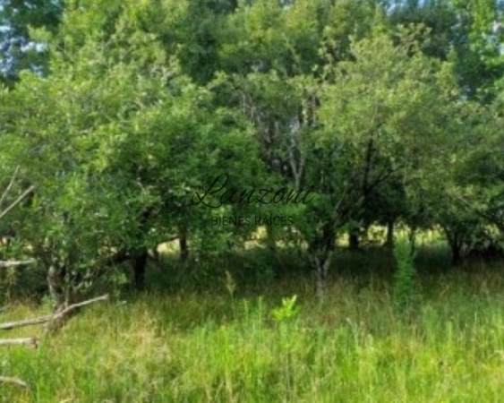 INTERESANTE CHACRA A 1200MTRS. DE LA AUTOVÍA 7, BARRIO "LA ESPERANZA" - Cód. LBR69CHA