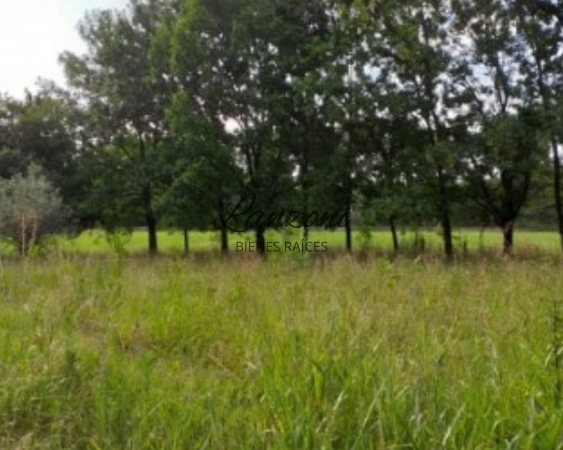 INTERESANTE CHACRA A 1200MTRS. DE LA AUTOVÍA 7, BARRIO "LA ESPERANZA" - Cód. LBR69CHA