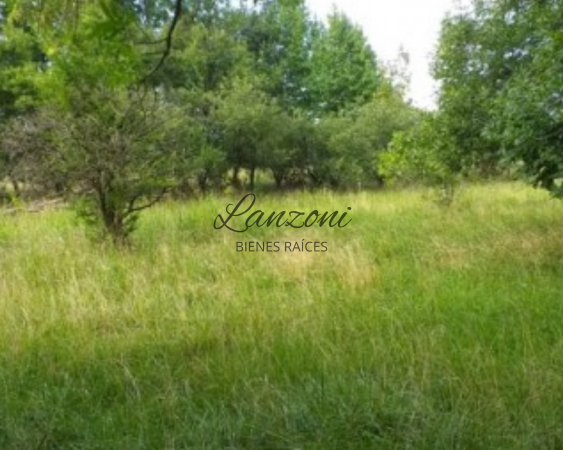 INTERESANTE CHACRA A 1200MTRS. DE LA AUTOVÍA 7, BARRIO "LA ESPERANZA" - Cód. LBR69CHA
