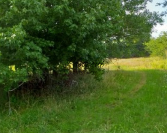 INTERESANTE CHACRA A 1200MTRS. DE LA AUTOVÍA 7, BARRIO "LA ESPERANZA" - Cód. LBR69CHA