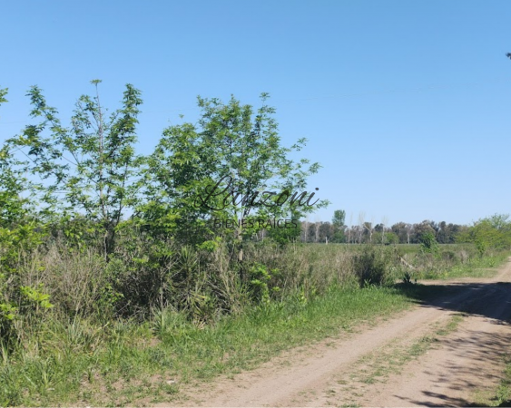 INTERESANTE CHACRA A 1200MTRS. DE LA AUTOVÍA 7, BARRIO "LA ESPERANZA" - Cód. LBR69CHA