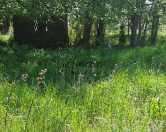 IMPORTANTE OPORTUNIDAD LOTE EN FRANKLIN - Cod. LBR31LOT