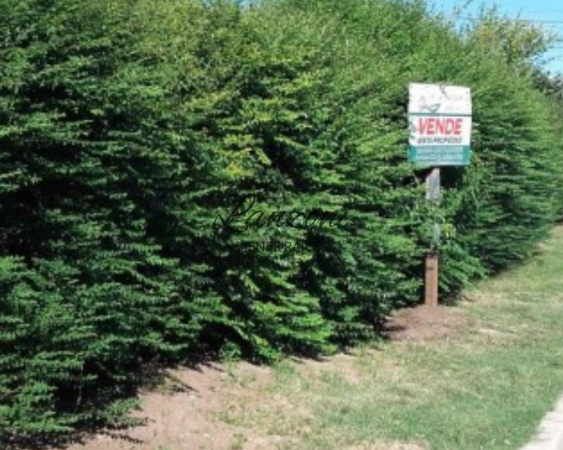 PROPIEDAD EN VENTA CON INTERESANTE AMPLITUD DE ESPACIO VERDE - Cod. LBR110CAS 