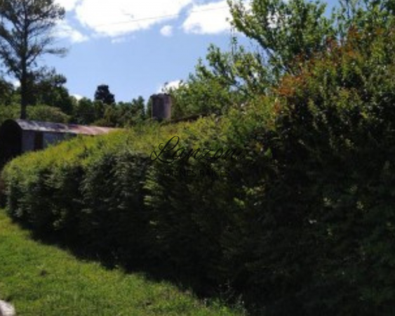 PROPIEDAD EN VENTA CON INTERESANTE AMPLITUD DE ESPACIO VERDE - Cod. LBR110CAS 