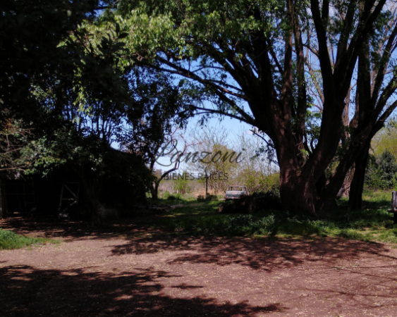 PROPIEDAD EN VENTA SOBRE RUTA NACIONAL n°7 - Cod.LBR68aCAS/LOT 