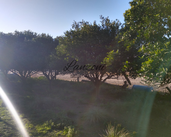 VILLA SAN ALBERTO: CHACRA 2HAS. SOBRE AUTOVIA LUJAN/JUNIN - Cod. LBR155CHA