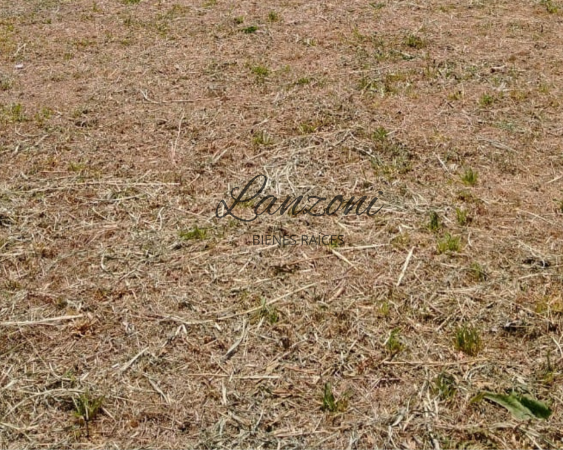  EN VENTA LOTE de 2000M2