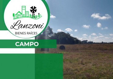 SE VENDE CAMPO DE 14 Has. Aprox.